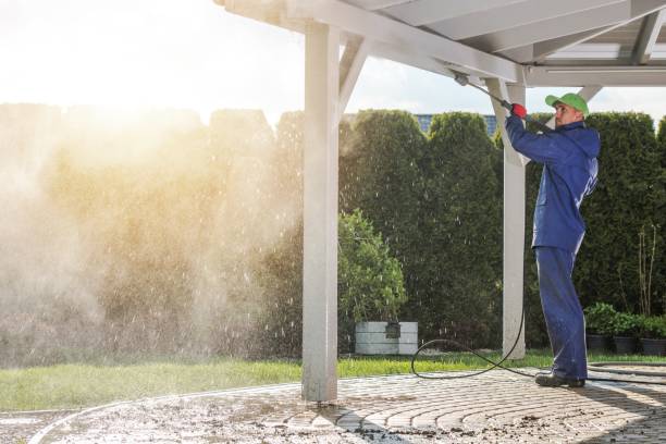 Best House Exterior Washing  in Waggaman, LA